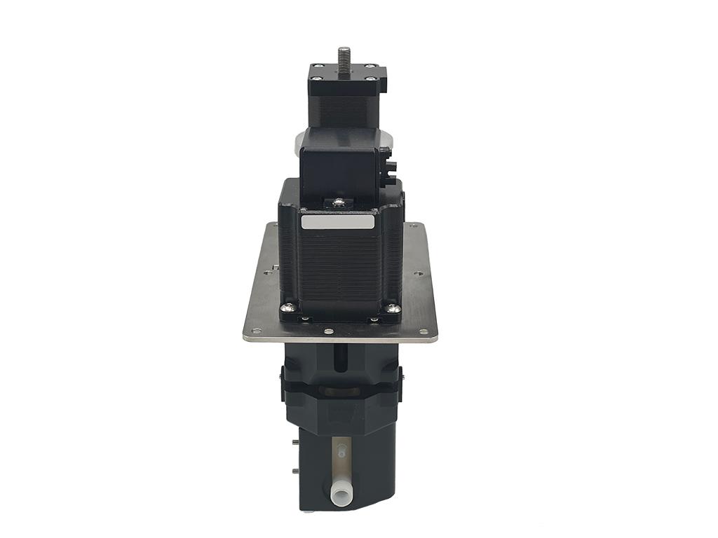 Beschreibung des Bildes